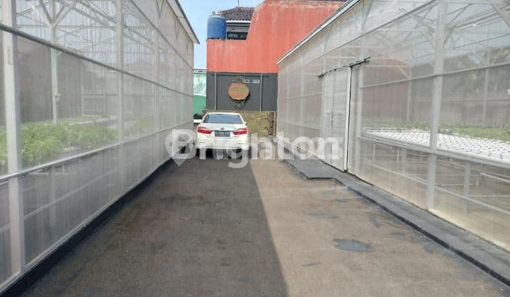 TANAH BEKAS BUDI DAYA HYDROPONIK COCOK UNTUK APA SAJA