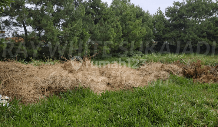 !! PRIME WIDE FRONTAGE LOTS IN LEMBANG