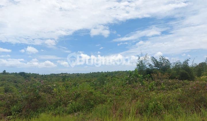 DI TANAH DI JALAN UTAMA 30 METER