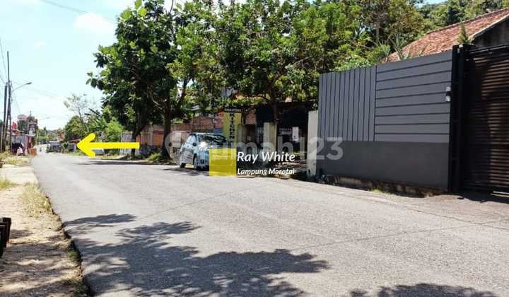 Yasir Hadi Broto's Land Quickly