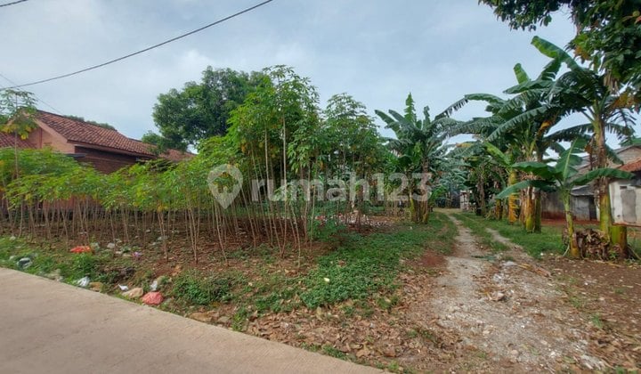 TANAH DI JALAN DEWA GUNUNG PUTRI BOGOR TANAH DI JALAN DEWA GUNUNG PUTRI BOGOR