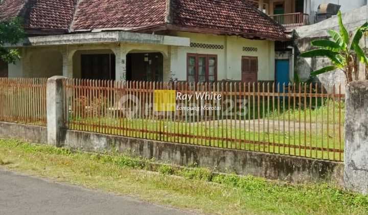 Bonus Land Fast Building