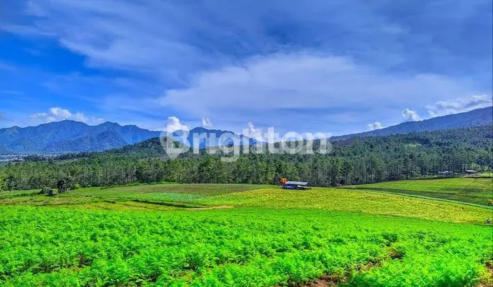 Tanah View Paling Keren di Kota Batu