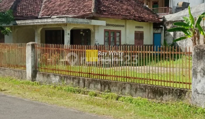 Land Plus Building on Jl Way Muli