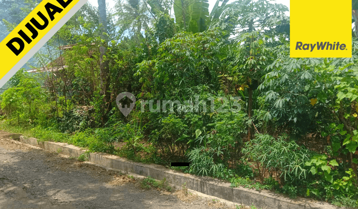 Tanah Murah di Rajabasa