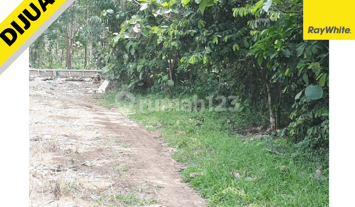 Tanah Murah di Negeri Katon Tataan