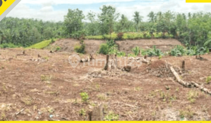 CHEAP LAND READY FOR BUILDING IN JATI AGUNG, SOUTH LAMPUNG