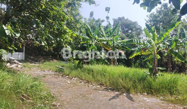 TANAH KOSONG MURAH STRATEGIS DI CANDI SARI SEMARANG SELATAN