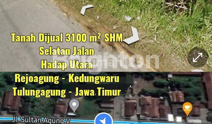 TANAH DEKAT SPBU REJOAGUNG TULUNGAGUNG JAWA TIMUR