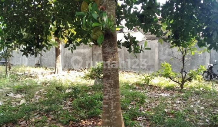 Kavling Komersil Siap Bisnis Kostan / Carwash Yogyakarta