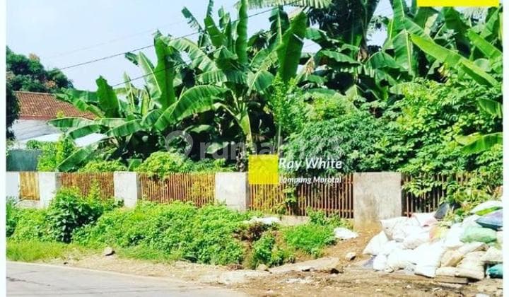 Tanah kosong di jalan Cipto Mangun Kusumo Teluk Betung Bandarlampung