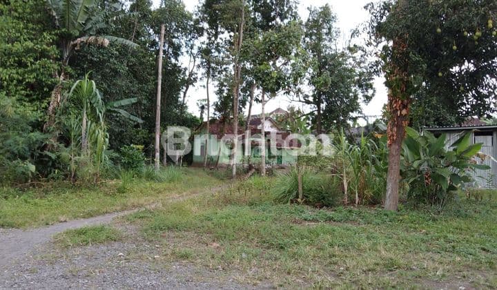 Jongke Mlati Hyatt Lingkungan Islami