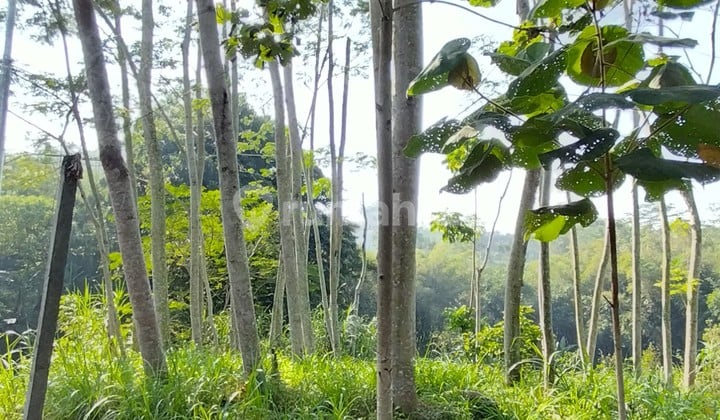 TANAH LOKASI SANGAT STARTEGIS DI NOL JALAN DEKAT WISATA