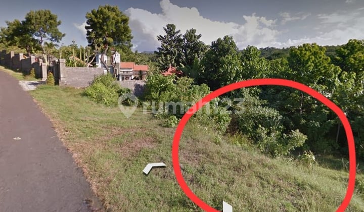 DOWN PRICES! Large land suitable for a villa in Buleleng Bali S6547