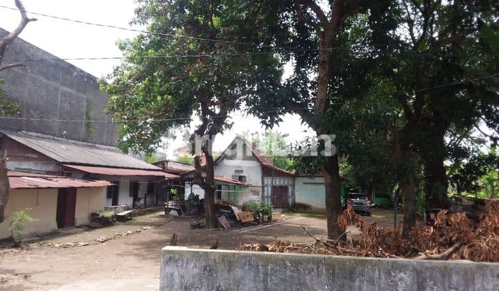 TANAH COCOK DEPAN KAMPUS UTK KOST2AN DAN INVESTASI LAIN LOKASI DI TIMOHO DLM KOTA YOGYAKARTA