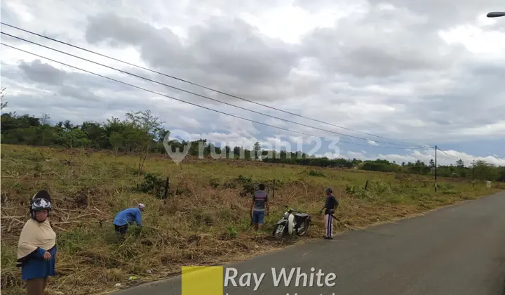 Banjar Baru Land, South Kalimantan