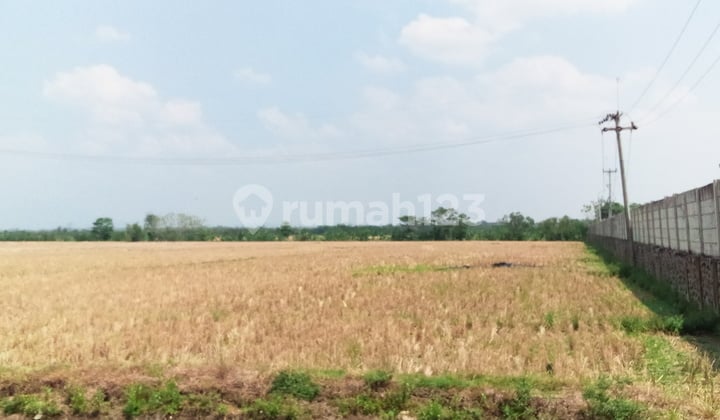 tanah kosong Lokasi samping Mesjid Aljabar & Hotel Horison Kertajati
