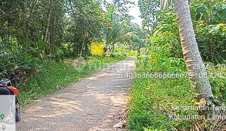 TANAH DI TANJUNG BINTANG LAMPUS SELATAN