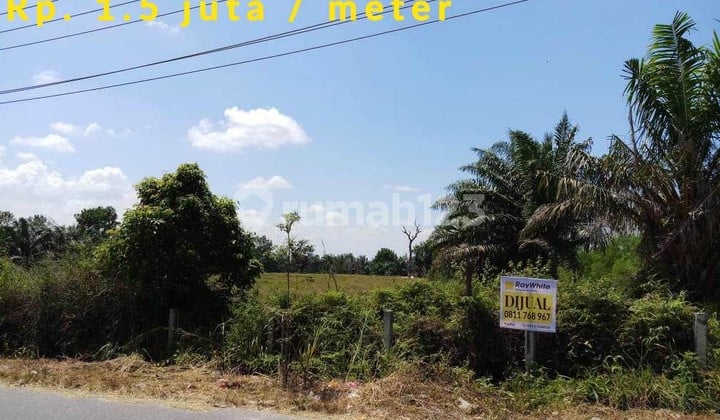 Land in the Panam area, Pekanbaru.