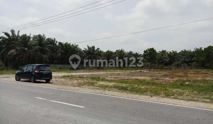 Tanah di Petapahan - Bangkinang