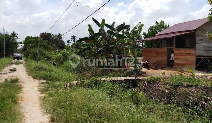 Tanah Rp. 150 ribu / m di jl. Garuda Sakti, Kampar