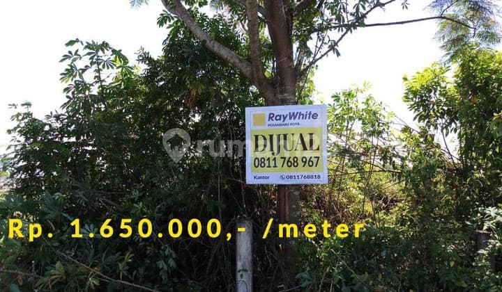 Tanah di Jl. Naga Sakti, Pekanbaru..