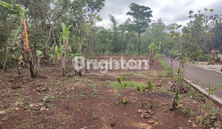 TANAH PEKARANGAN DI BEJIHARJO WONOSARI