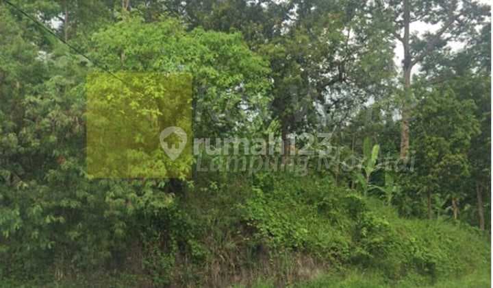 Tanah murah di jalan Raden Imba Kesuma Tanjung Karang Barat Bandarlampung