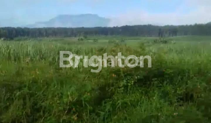BCL Special View of Mount Arjuno!! The Cheapest Land in Singosari, Suitable for All Businesses.
