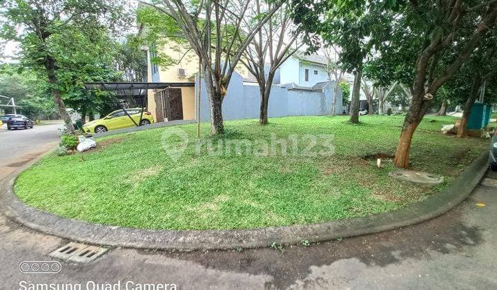 Nittaya Hook Cluster Plot at BSD The Avani