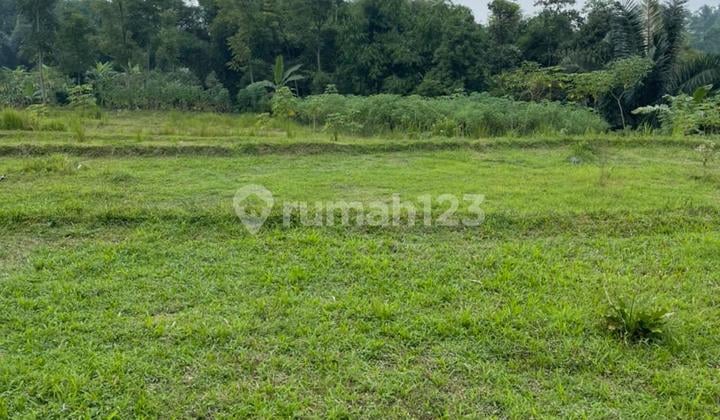 Tanah Bonus Bangunan Dan Isinya Di Cidahu Sukabumi Jawa Barat