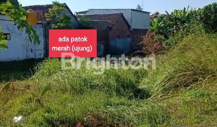 Strategic land plot (accessible via alley) near the city & SIDODADI housing complex.