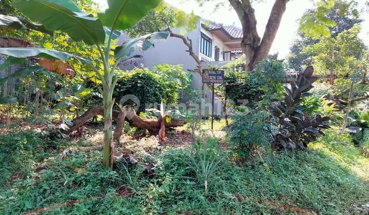 Kavling Eklusive di Komplek Nuangsa Bali Telaga Golf Sawangan Depok Satu Tembok Dengan Komplek At Shila Sawangan Jual dibawah harga pasar bisa beli KPT.