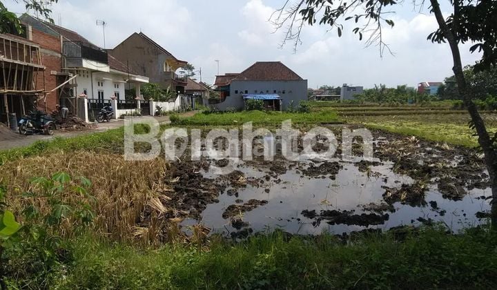 Tanah Di Daerah Singosari Malang