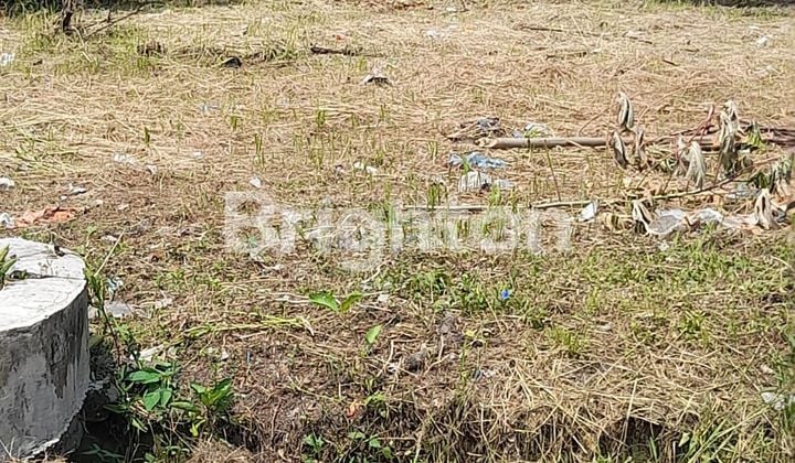 Tanah Siliwangi Percut Sei Tuan