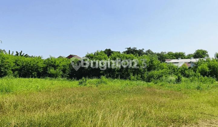 LAHAN UNTUK GUDANG ATAU PABRIK HARGA DI BAWAH NJOP (Nego Tipis karena sudah di bawah NJOP)