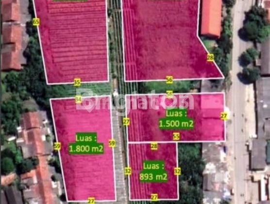 Tanah 10.000m2 untuk kebutuhan Industri/Pabrik di Jl Raya Pembangunan Gunung Sindur Bogor