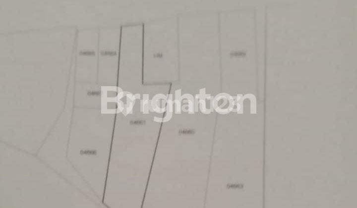 TANAH 432 M2 DI JL HASANUDIN, JUNREJO, KEC JUNREJO, KOTA BATU