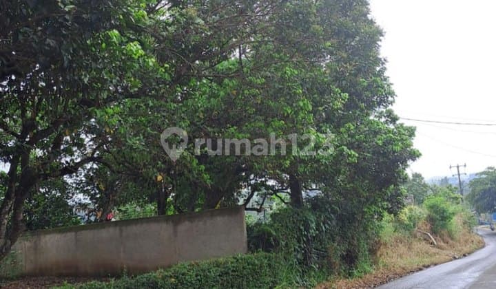 Land with Access for 2 Cars in Cibungbulan Bogor S6766