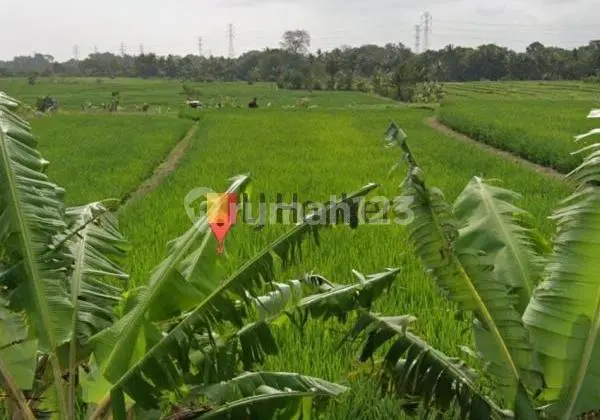 Land For Lease at Tabanan Area Close to Bypass Tanah Lot Road