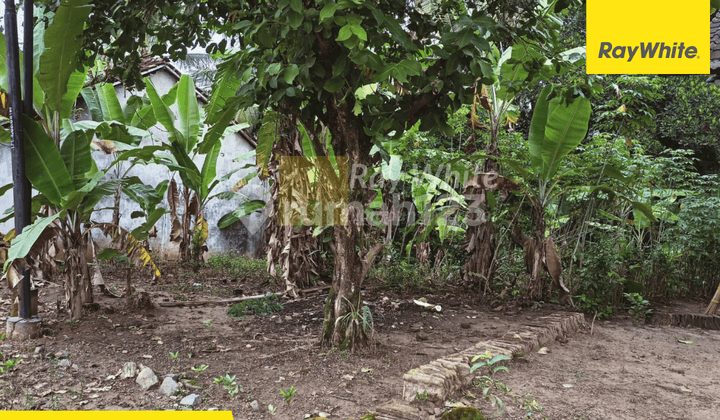 Tanah murah Gunung Sugih