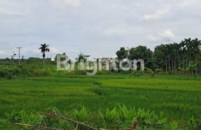 TANAH MARENDAL TANJUNG MORAWA