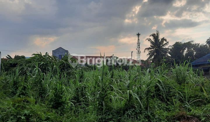 TANAH ANGGREK 1 MEDAN TUNTUNGAN