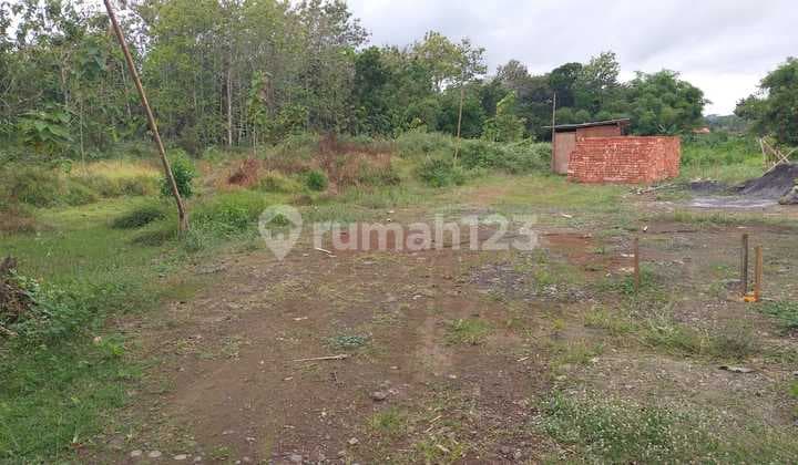 Tanah Murah Di Pengasih Kulonprogo Yogyakarta