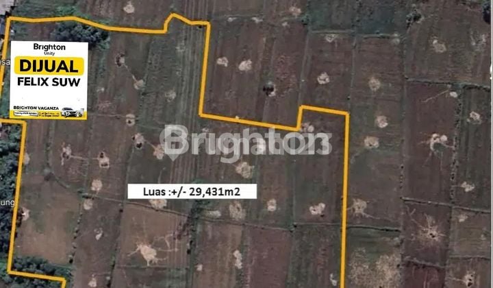 TANAH DI DAERAH MORKEPEK LABANG BANGKALAN TANAH DI DAERAH MORKEPEK LABANG BANGKALAN