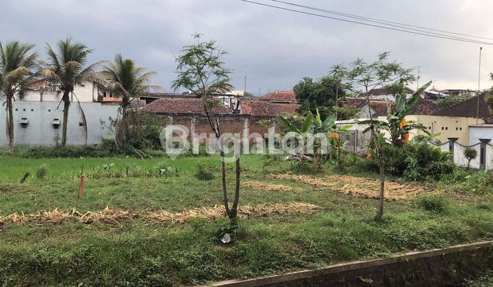Land In Lawang