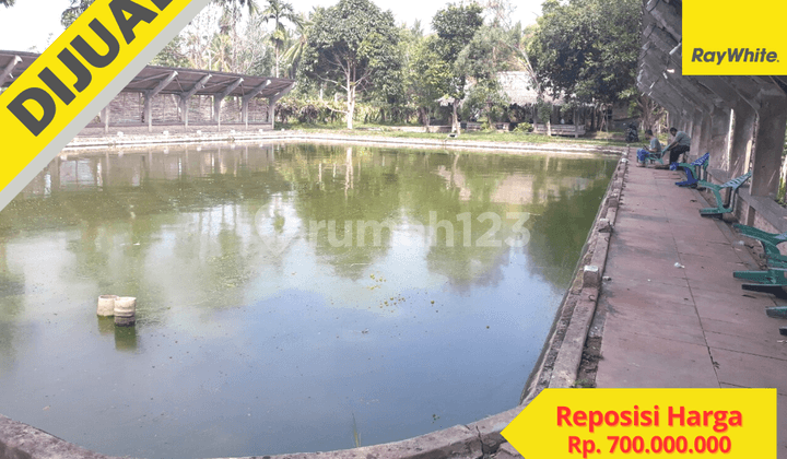 Tanah Murah di Kalianda
