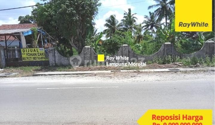 Tanah kosong di Jalan Hasannudin Metro Pusat Kota Metro