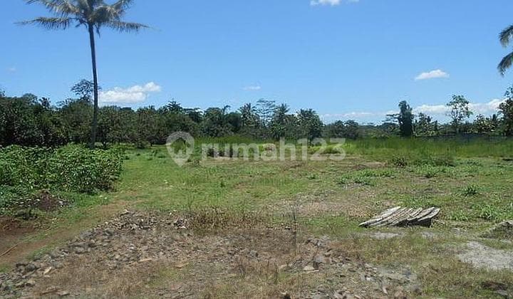 Tanah Industri Jln Arya Jaya Santika Tigaraksa Tangerang Banten