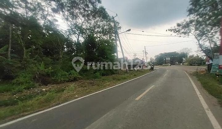 Tanah Komersial Jln Tanjung Lesung Cigeulis, Pandeglang, Banten